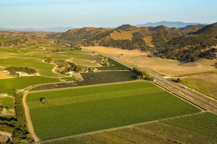 Carrari Vineyard — property photograph 9