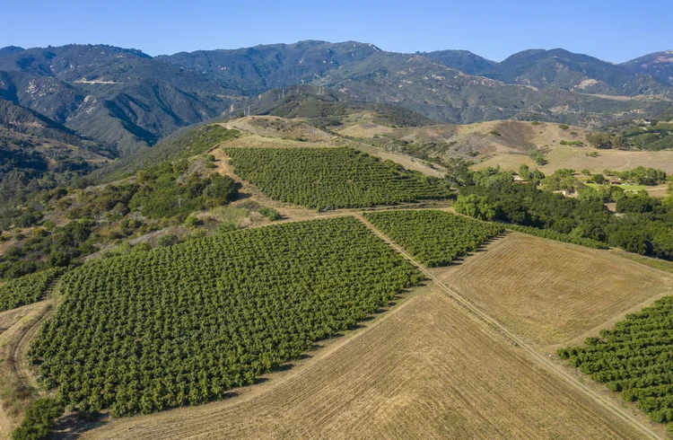 Amapola Ranch — property photograph 43
