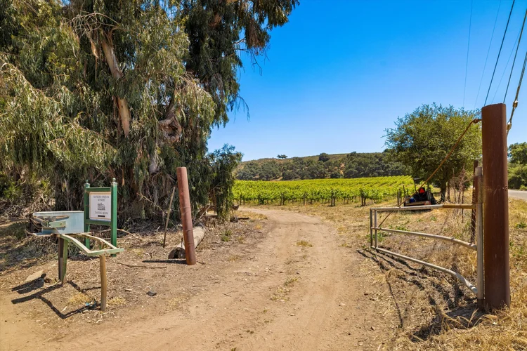 Goodchild Vineyard — property photograph 20