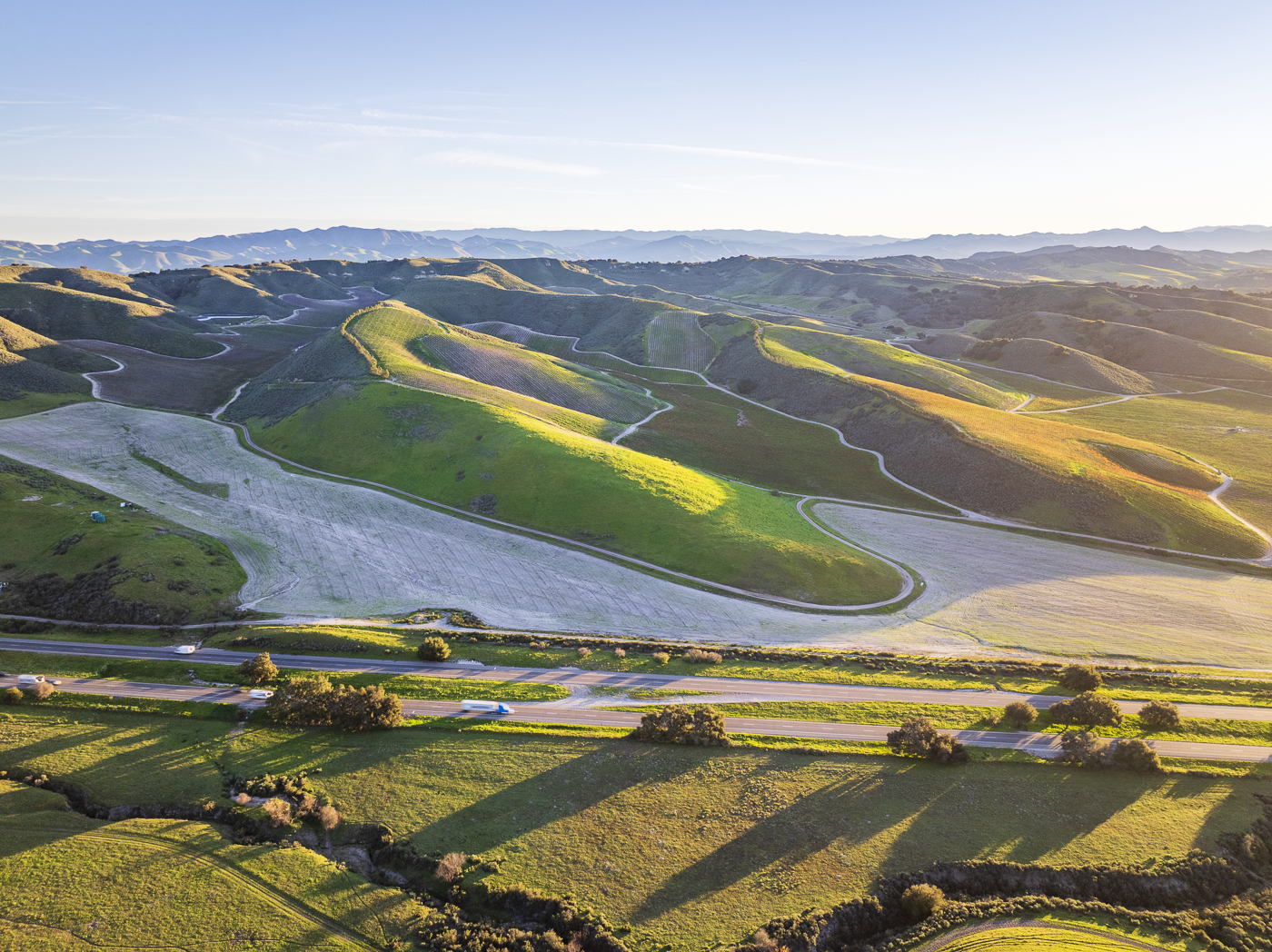 Loma Verde 2026 - Web-5.png