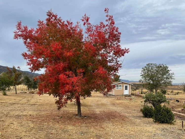 Wetzstein Ranch — property photograph 18