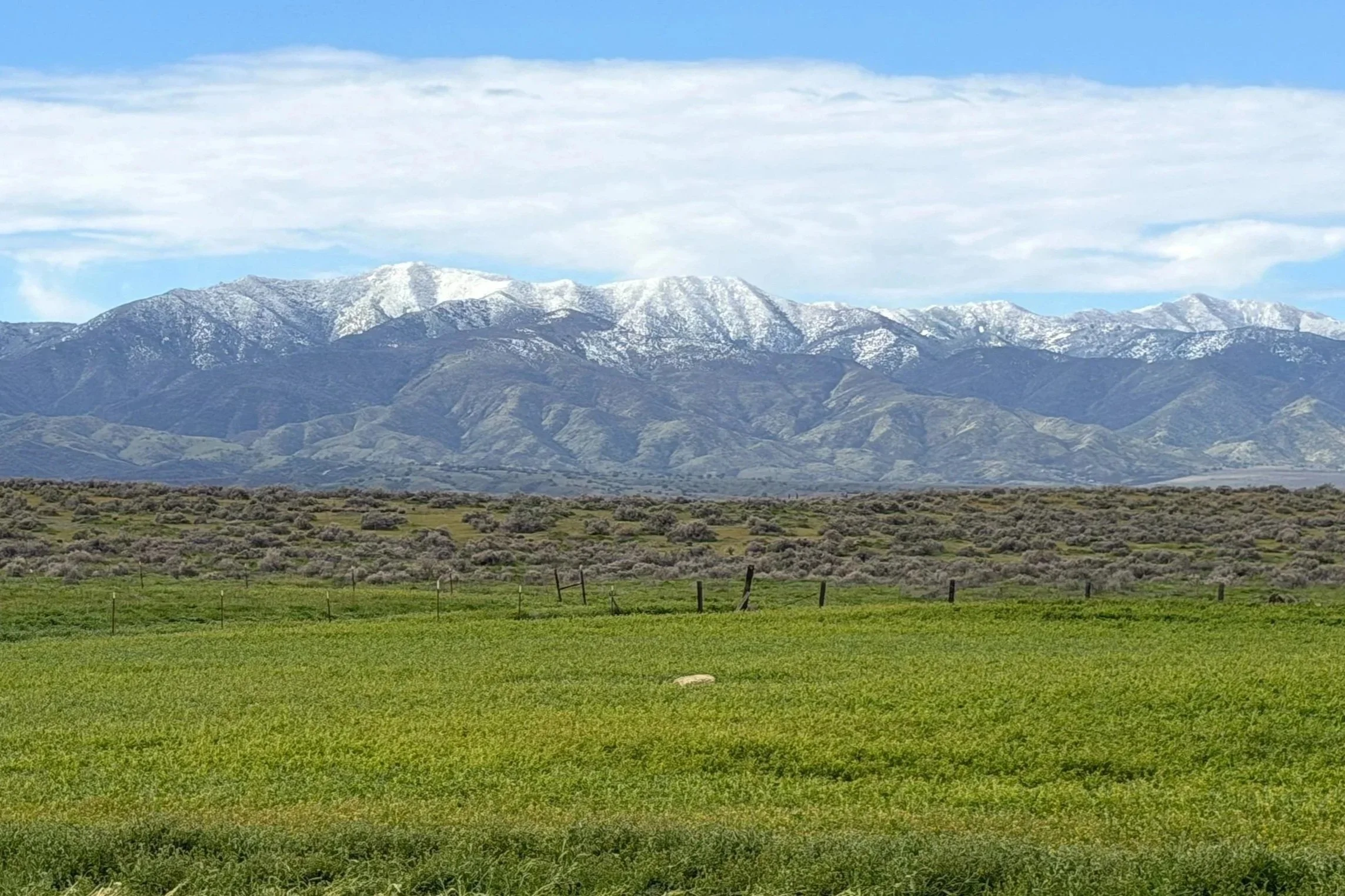 THE RUSSELL RANCH | New Cuyama | ±100 Acres | $1,200,000