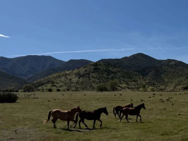 Wetzstein Ranch — property photograph 3