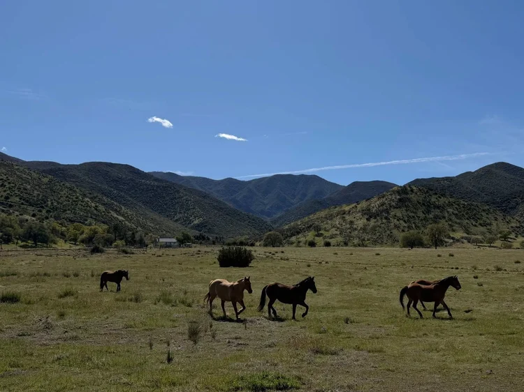 Wetzstein Ranch — property photograph 21