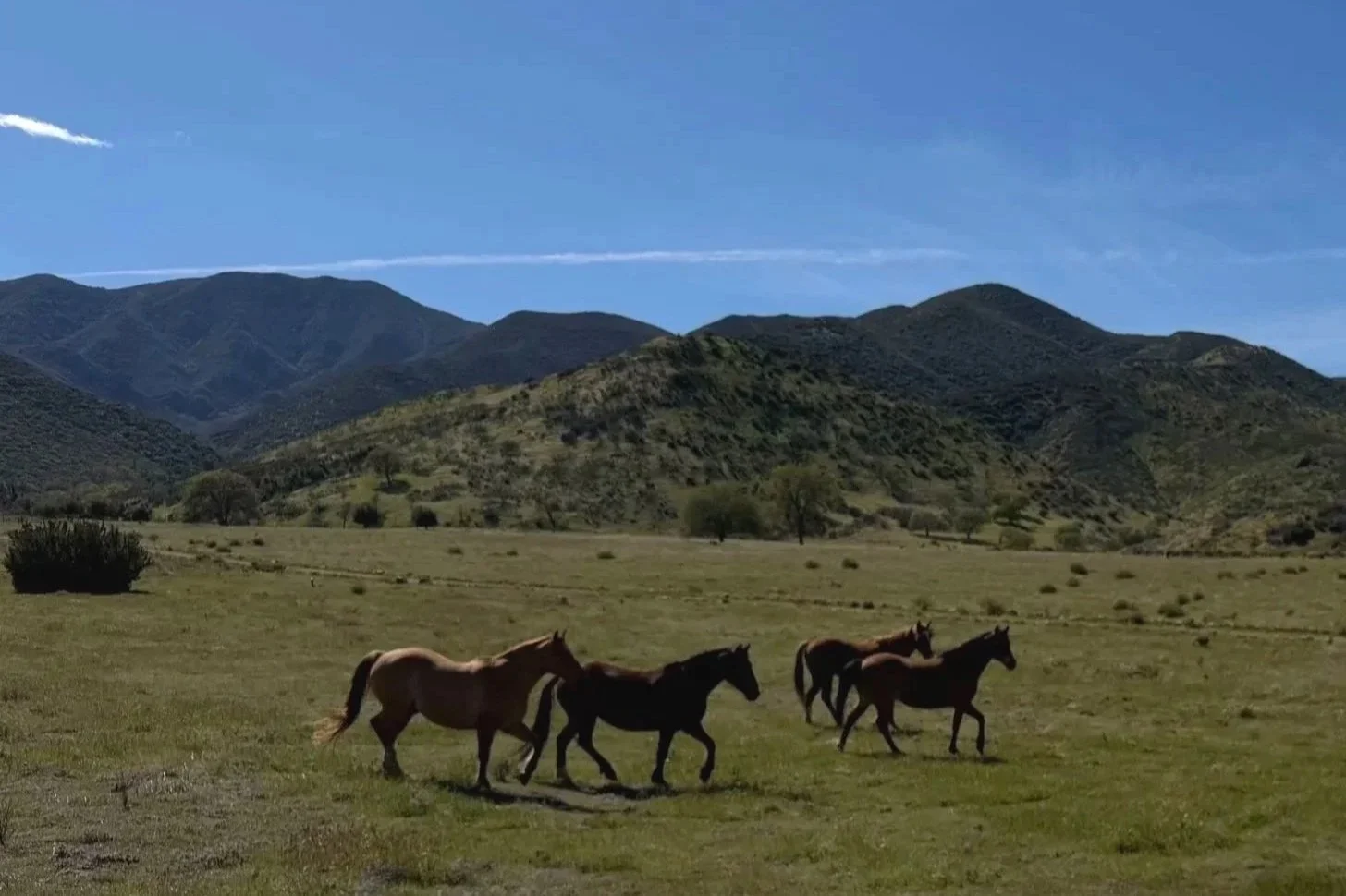 WETZSTEIN RANCH | New Cuyama | 166± Acres | $700,000