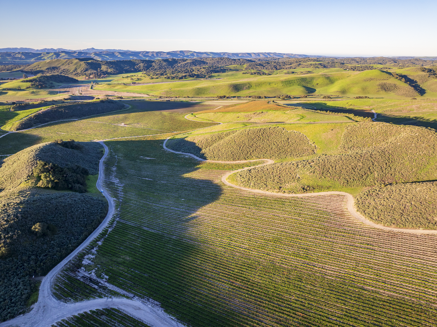 Loma Verde 2026 - Web-27.png