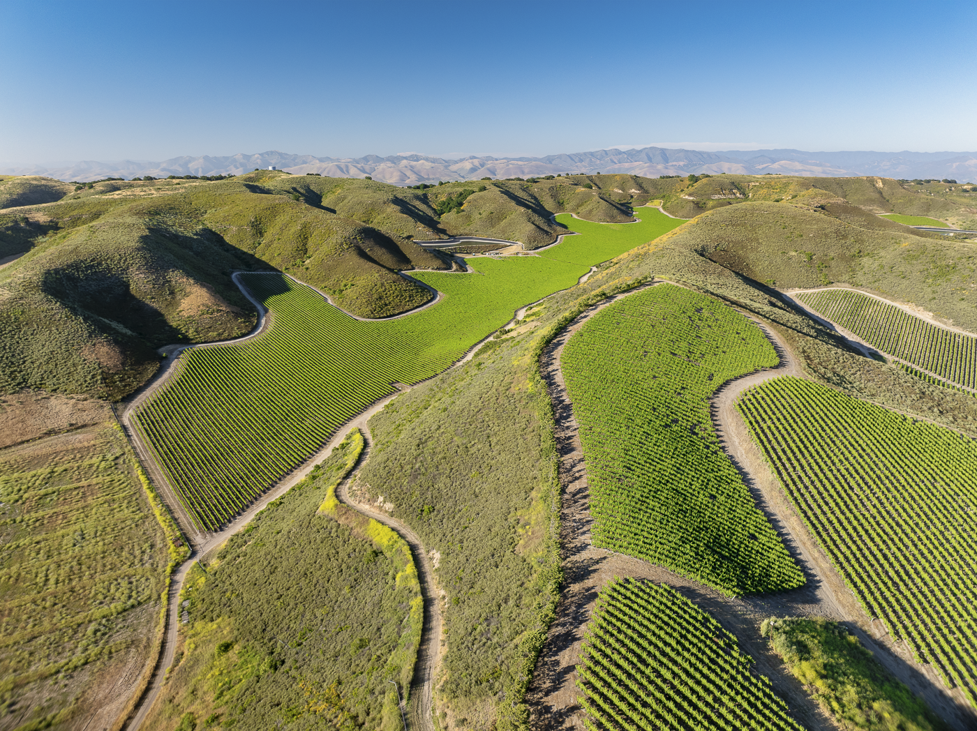 Loma Verde 2026 - Web-14.png