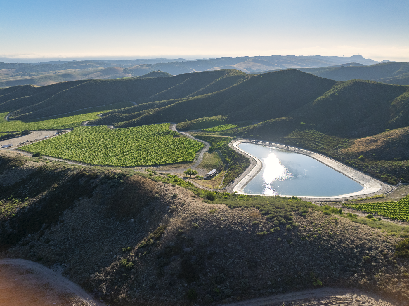 Loma Verde 2026 - Web-21.png