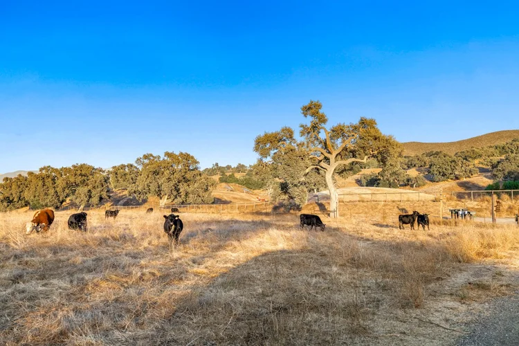 Circle K Front Ranch — property photograph 118