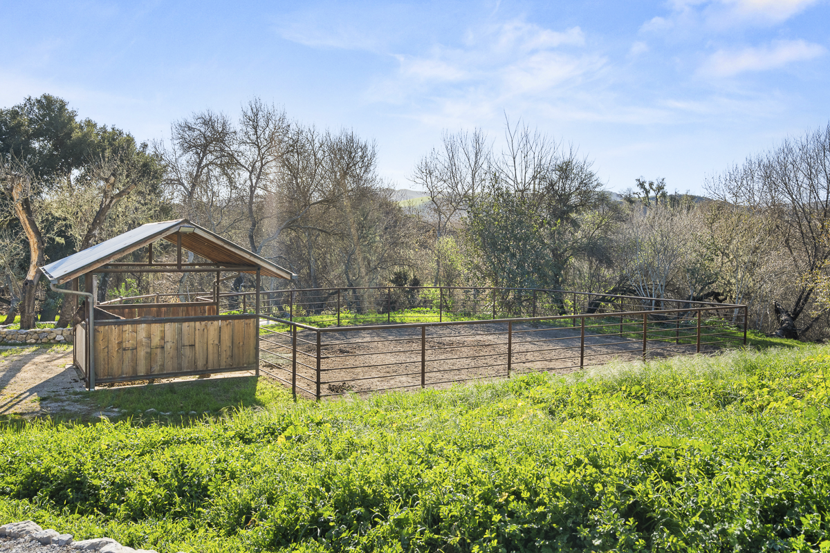 Big Bend Ranch - July 2026 - Web-032.png