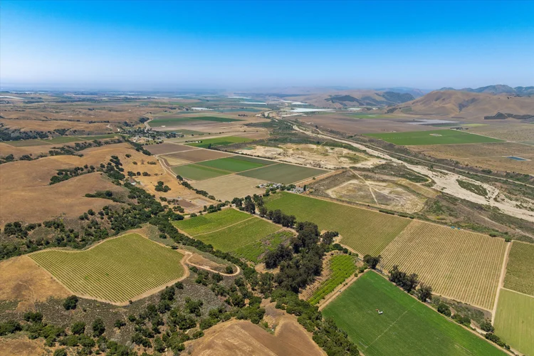 Goodchild Vineyard — property photograph 2