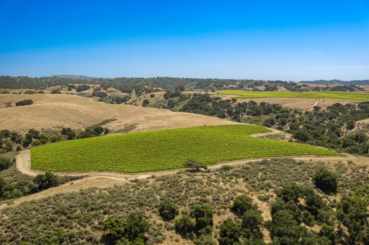 Goodchild Vineyard — property photograph 10