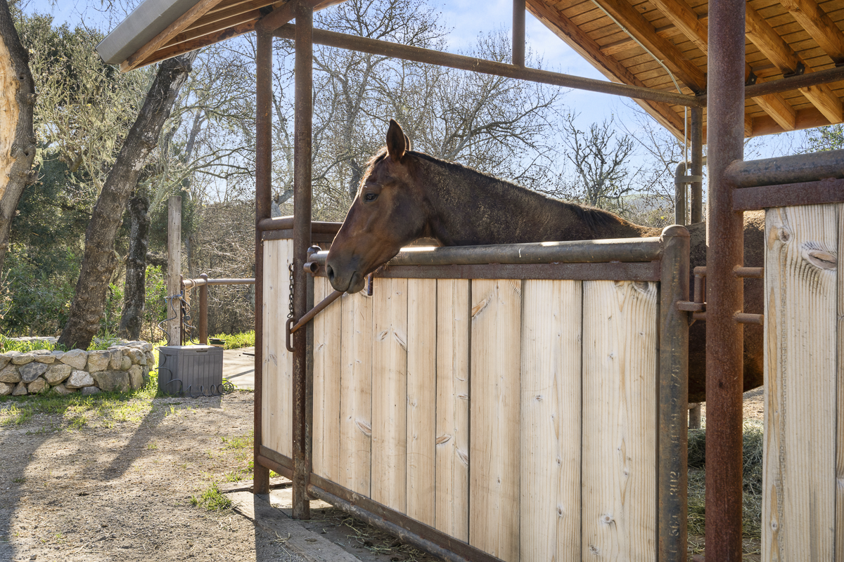 Big Bend Ranch - July 2026 - Web-035.png