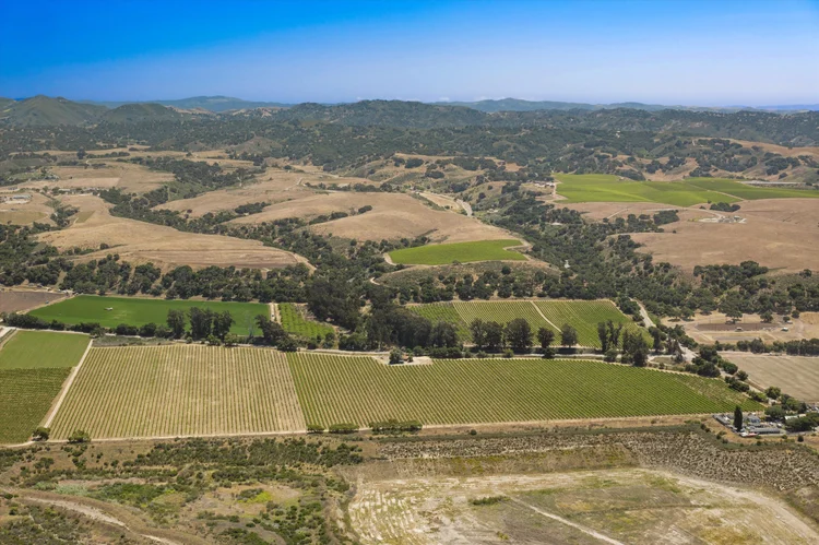 Goodchild Vineyard — property photograph 13