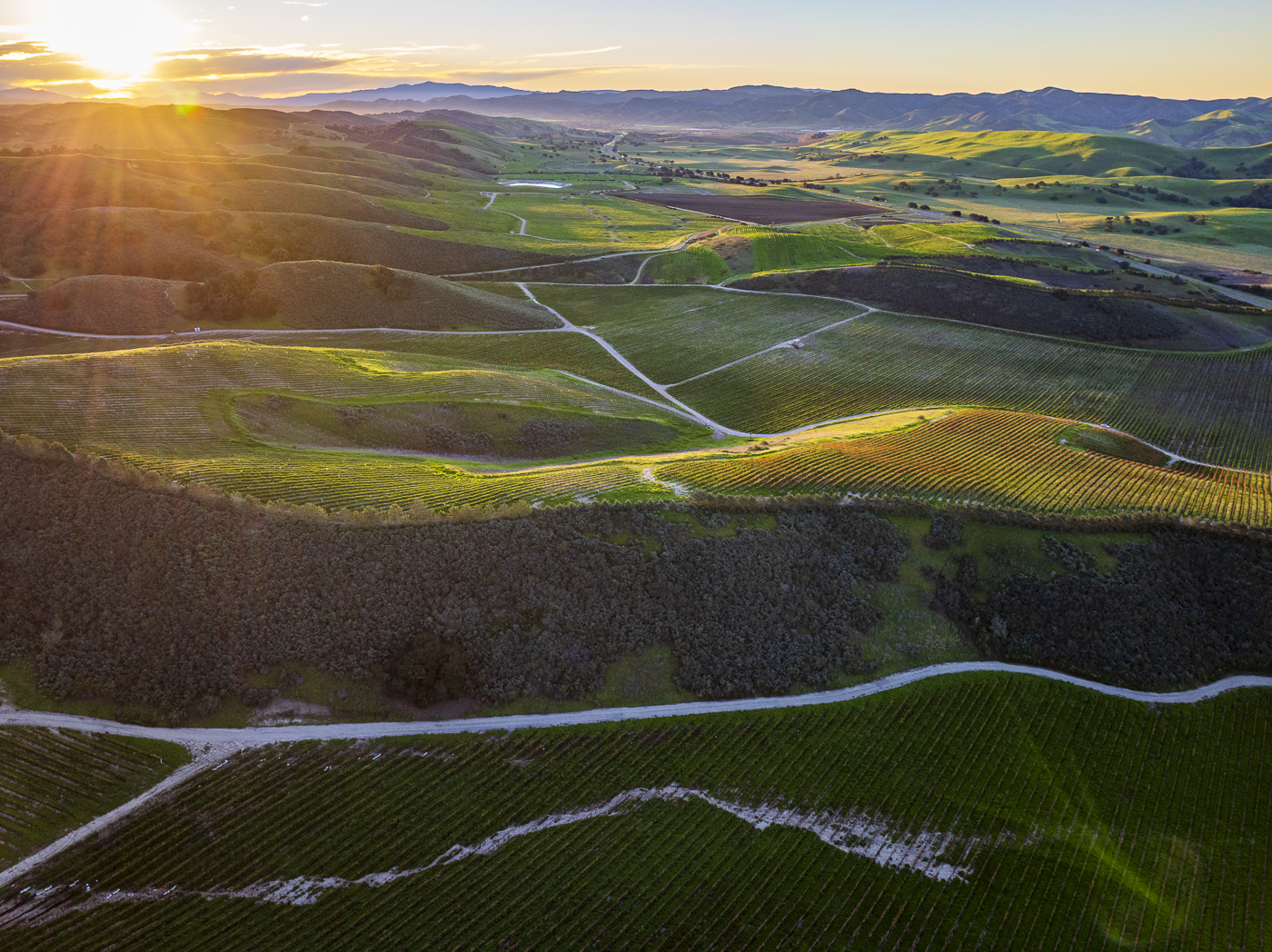 Loma Verde 2026 - Web-13.png