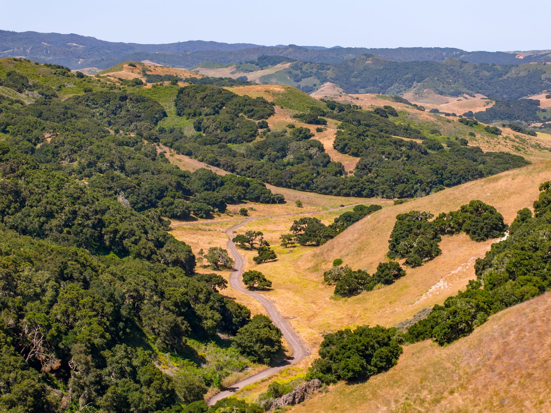 Ytias Ranch Web - 22.jpg