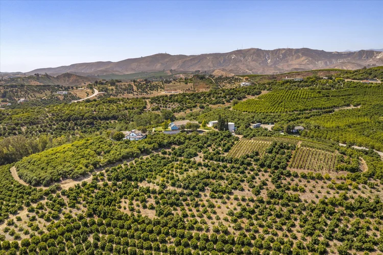 Half Barrel Ranch — property photograph 3