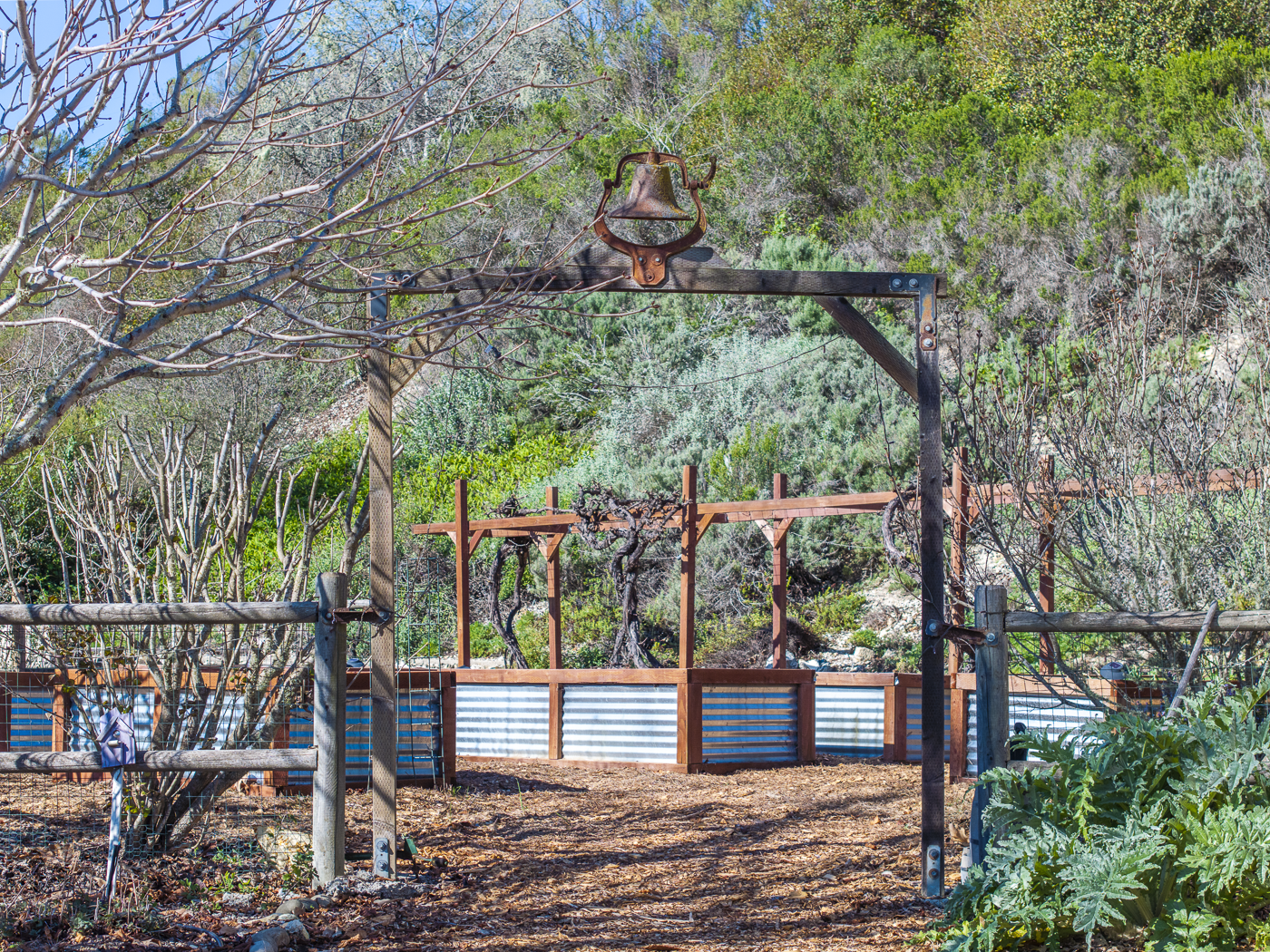 3226 Jalama - March 2026 - Web-53.png