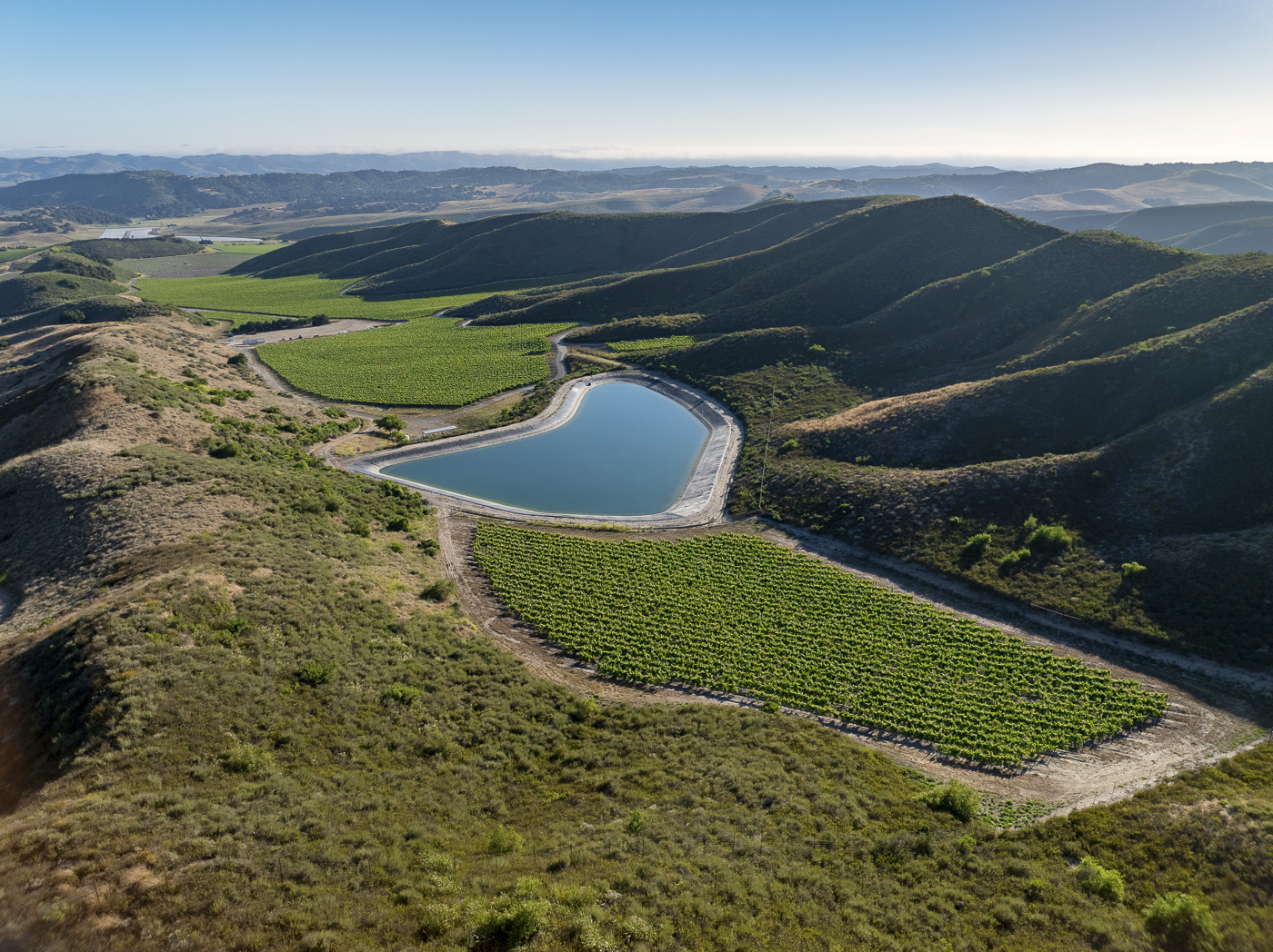 Loma Verde 2026 - Web-20.png