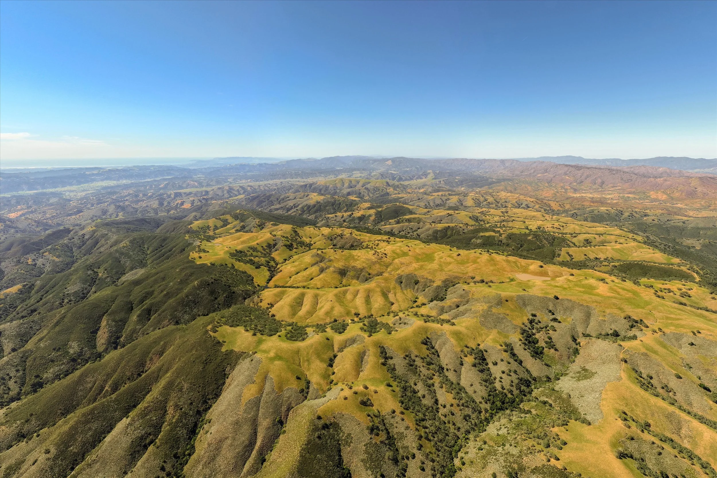 5MLS in Order - Huasna.jpg