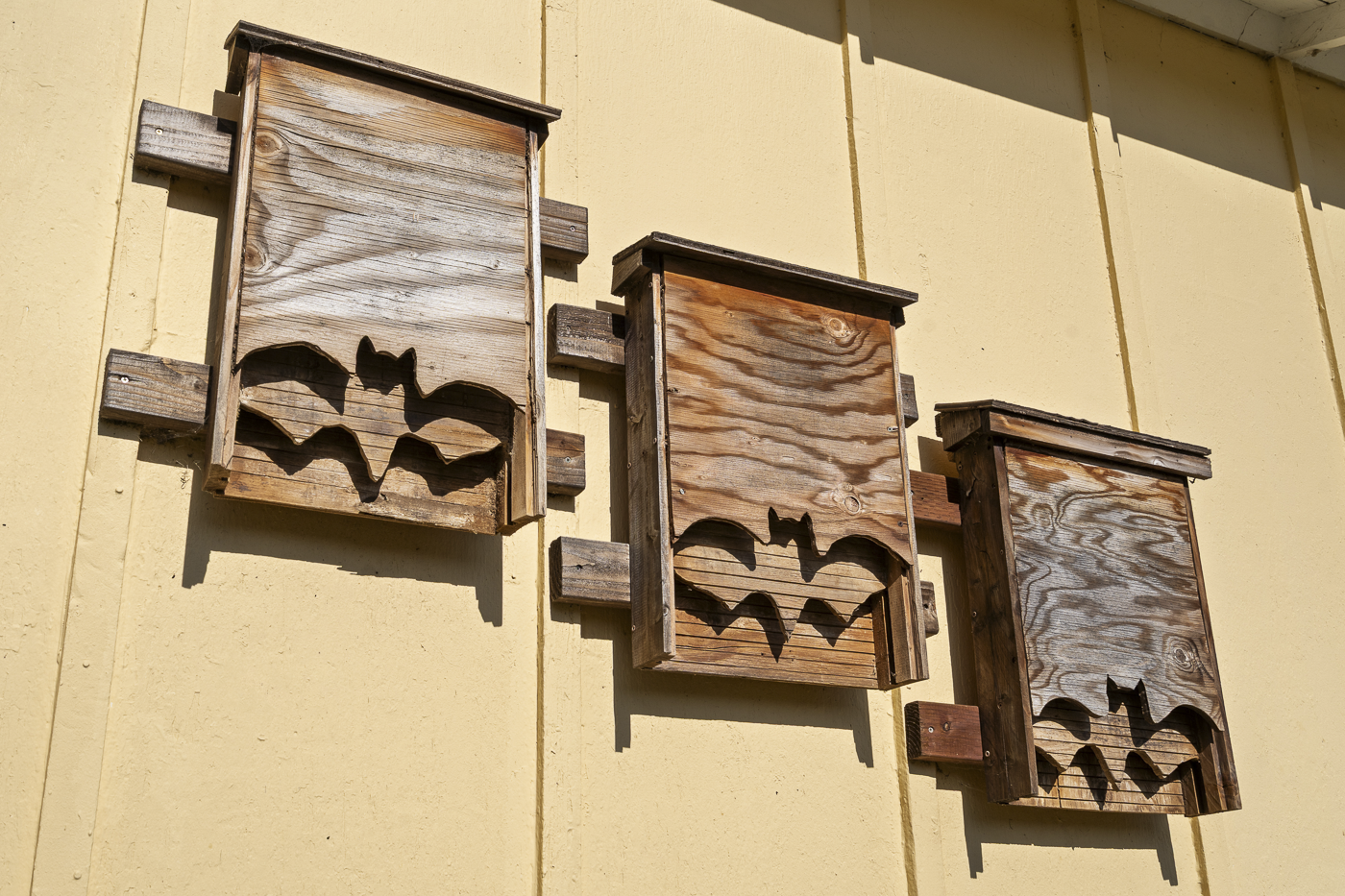 3226 Jalama - March 2026 - Web-51.png