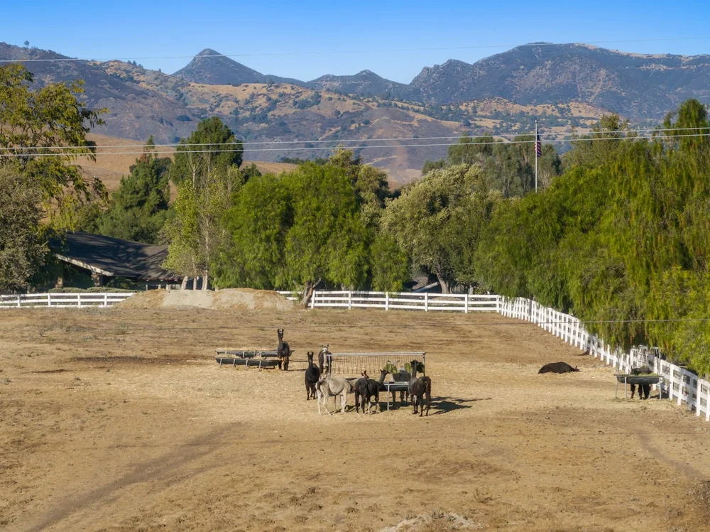 Circle K Ranch — lower ranch & grounds photograph 141