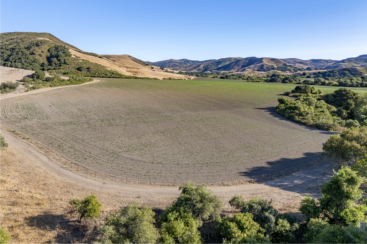 Big Bend Ranch - Ranch Land - Web-15.png