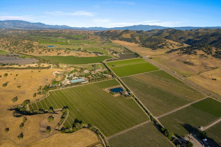 Carrari Vineyard — property photograph 6