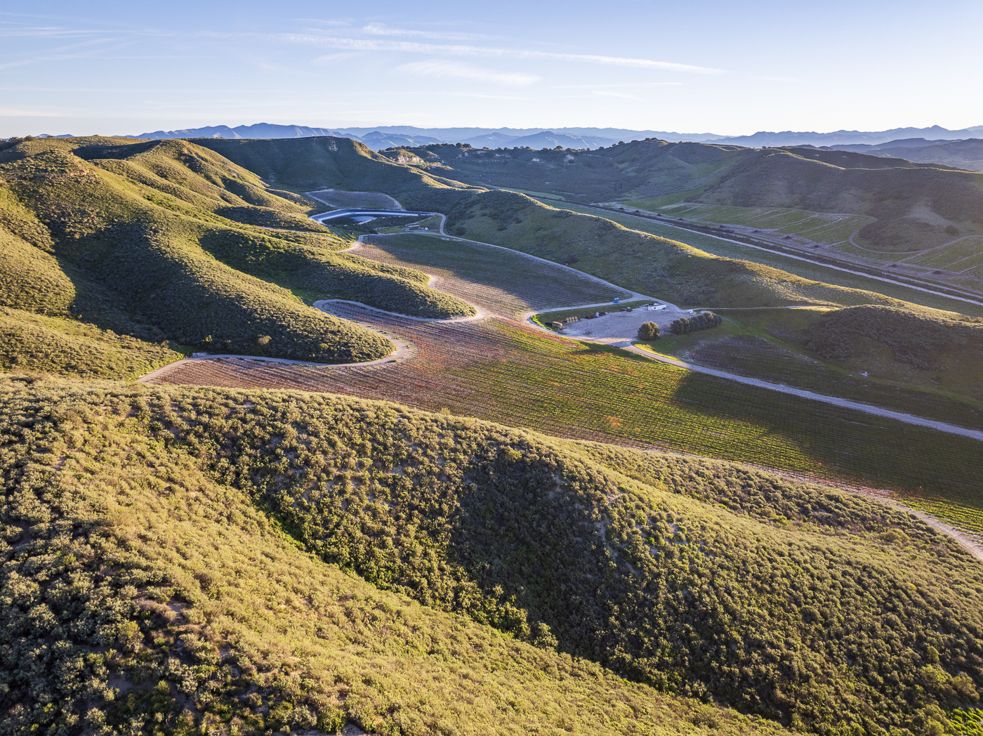 Loma Verde 2026 - Web-25.png