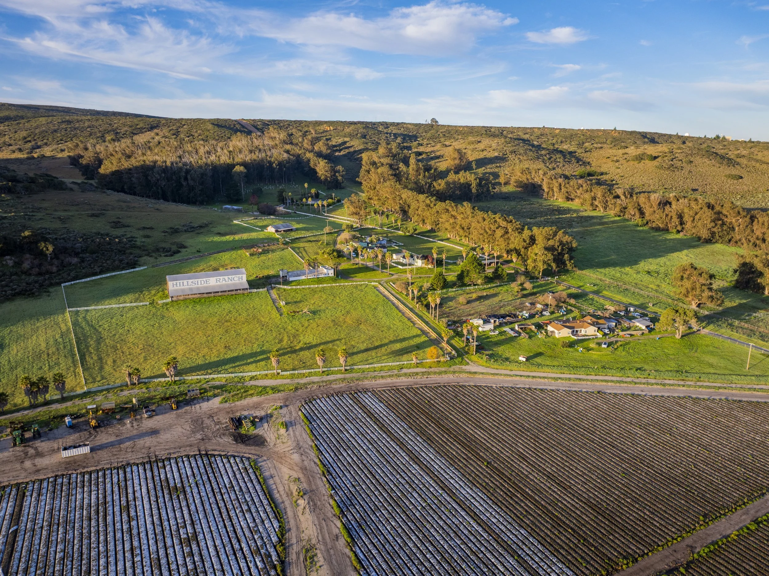 Hillside Ranch - 9.jpg