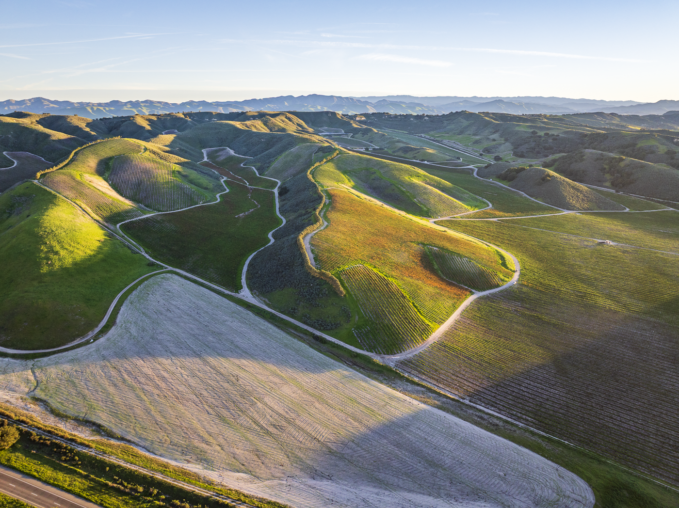 Loma Verde 2026 - Web-8.png