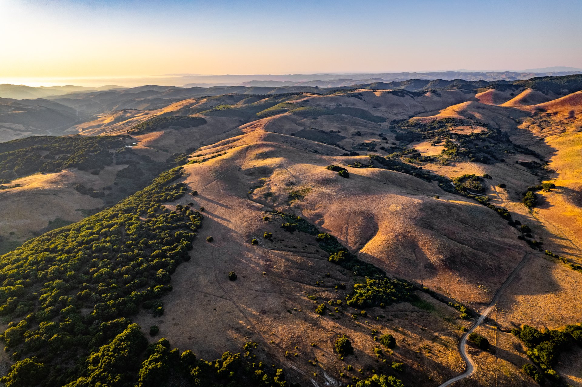 Ytias Ranch Web - 3.jpg
