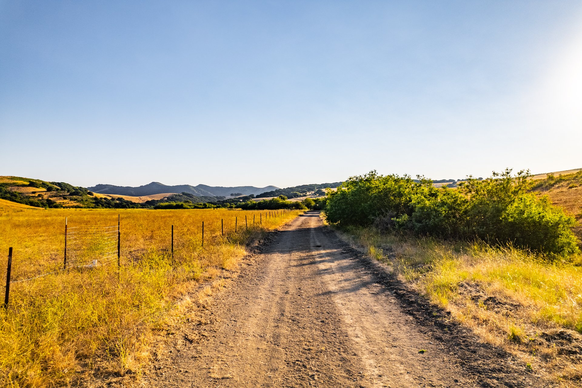 Ytias Ranch Web - 19.jpg