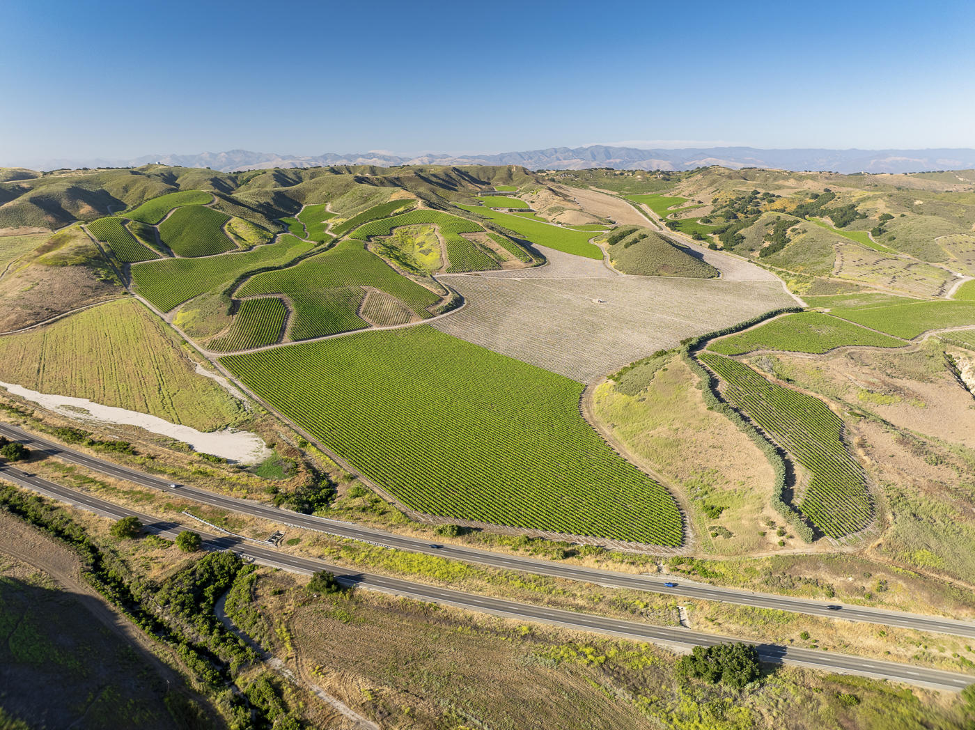 Loma Verde 2026 - Web-3.png