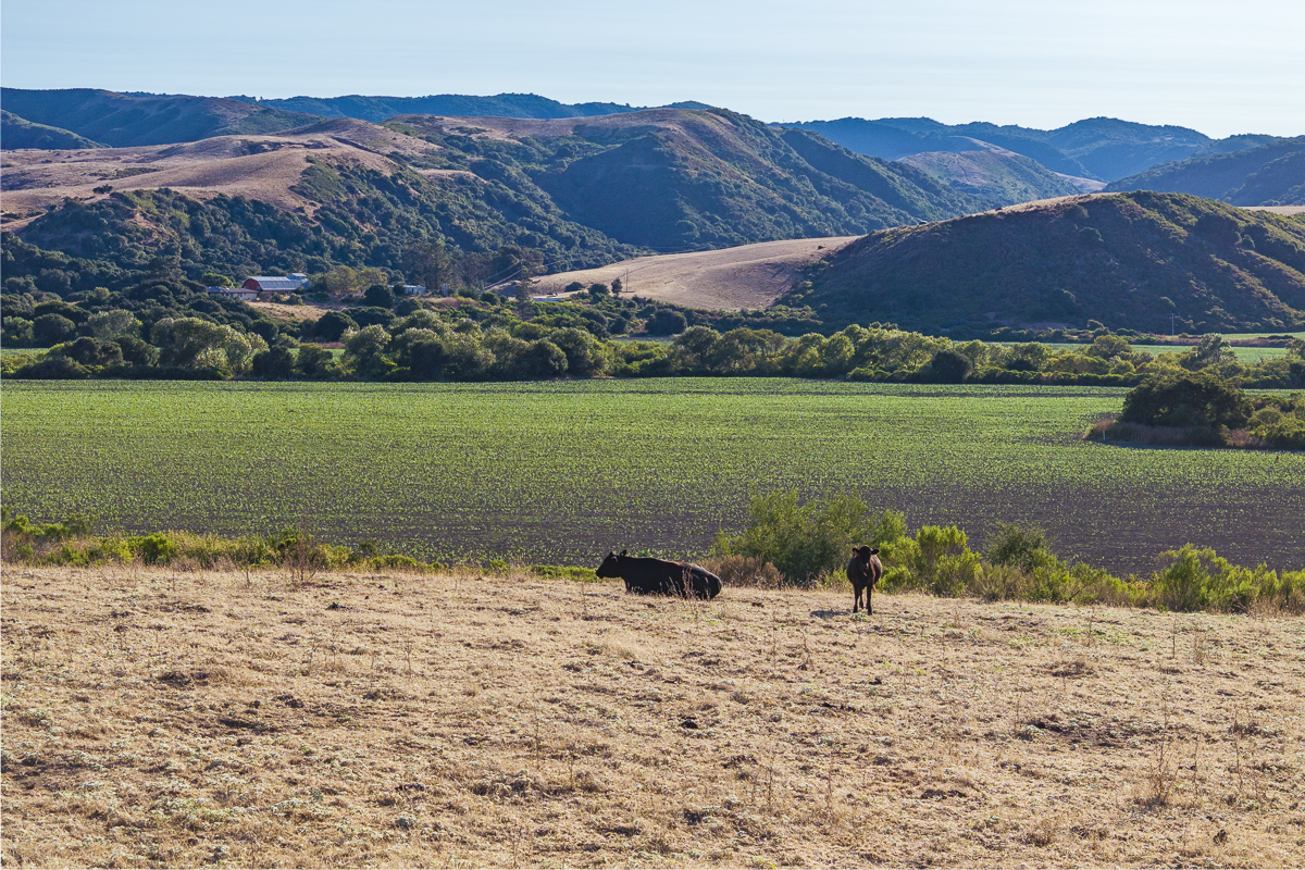 Big Bend Ranch - July 2026 - Web-085.png