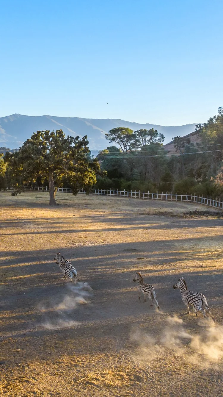 Circle K Front Ranch — property photograph 112