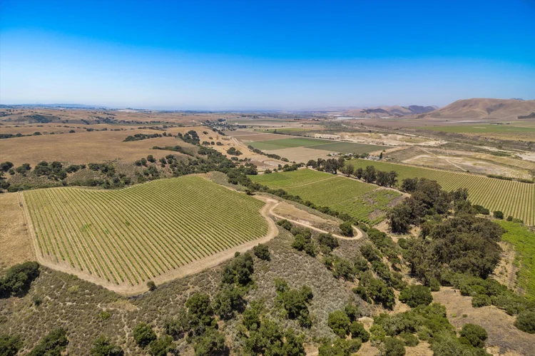 Goodchild Vineyard — property photograph 11