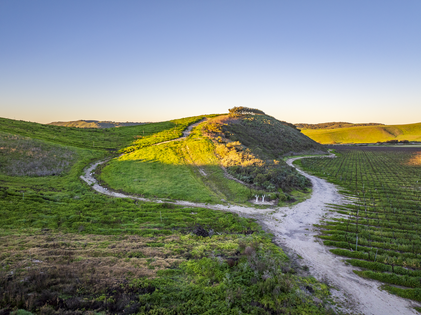 Loma Verde 2026 - Web-40.png