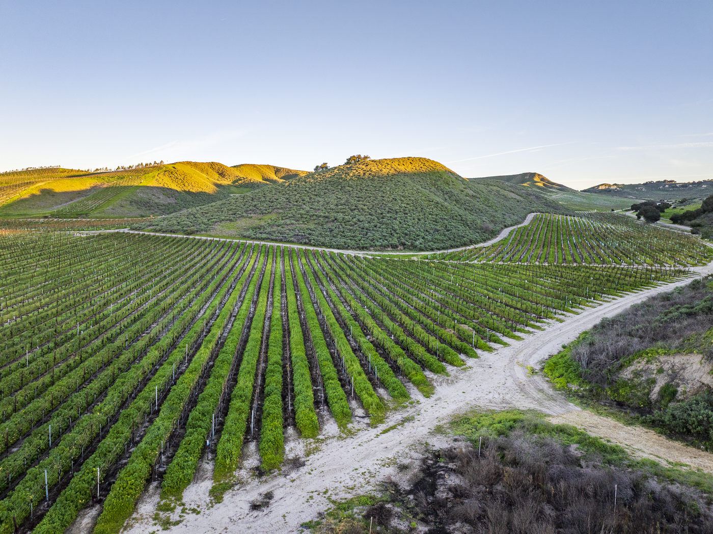 Loma Verde 2026 - Web-43.png