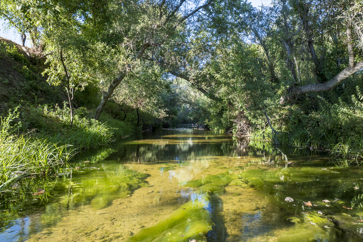 Big Bend Ranch - July 2026 - Web-057.png