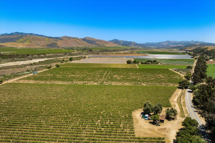 Goodchild Vineyard — property photograph 14