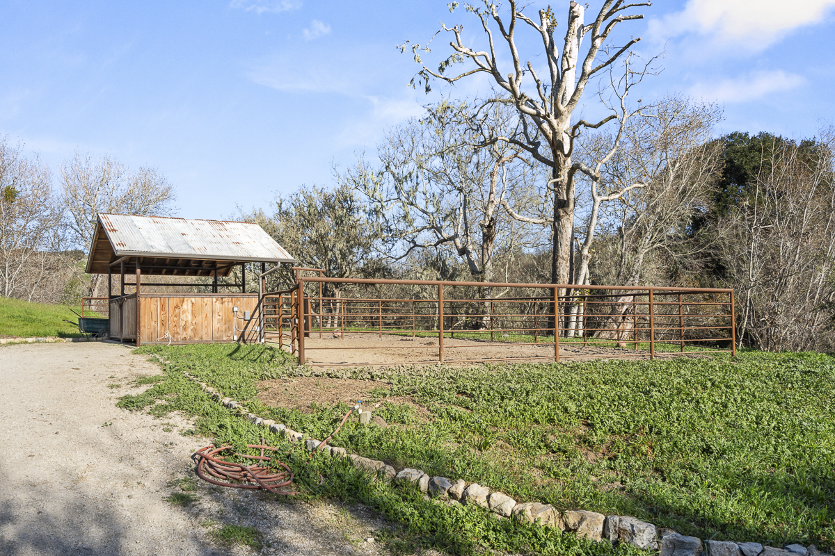 Big Bend Ranch - July 2026 - Web-045.png