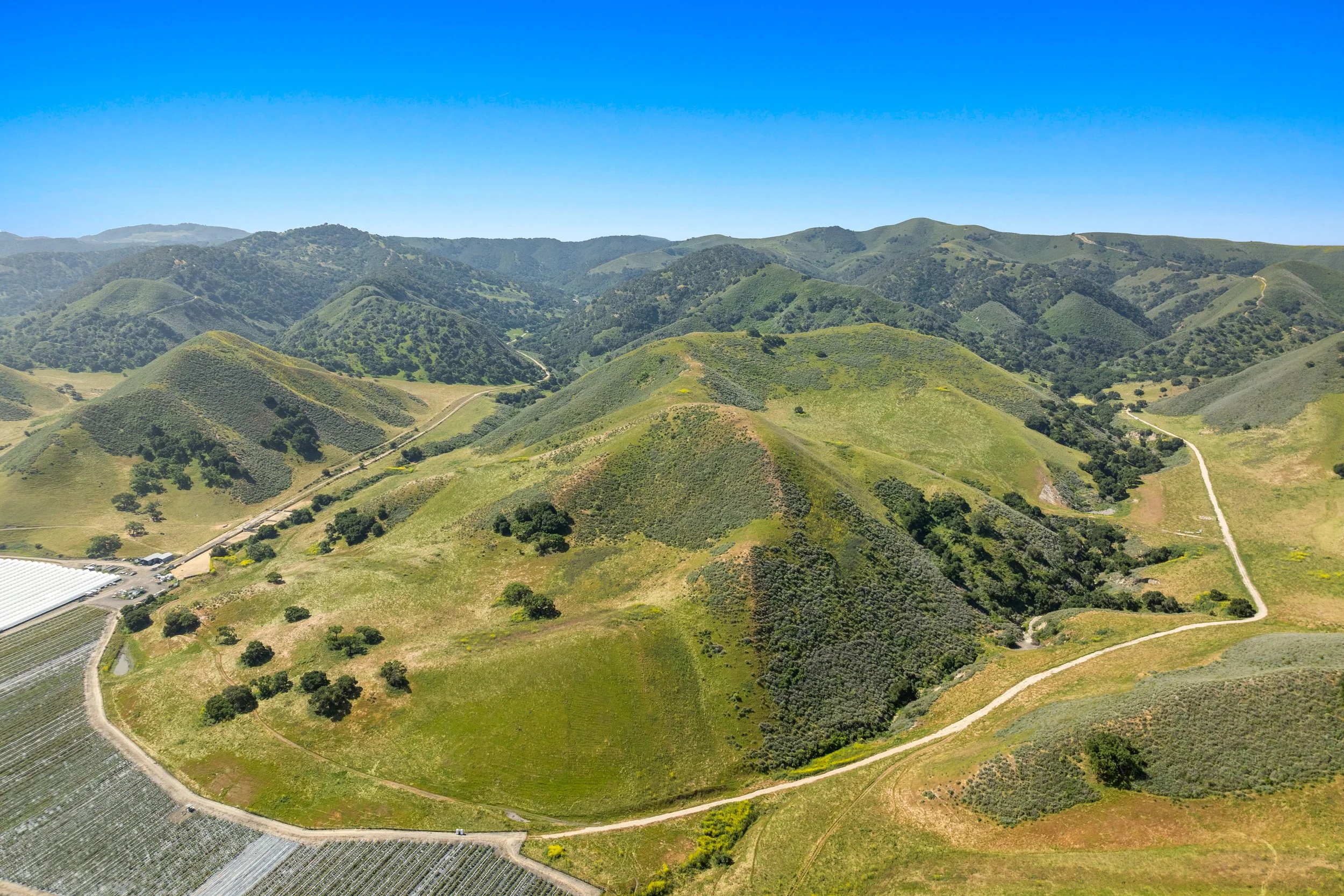 35-DJI_0625.jpg