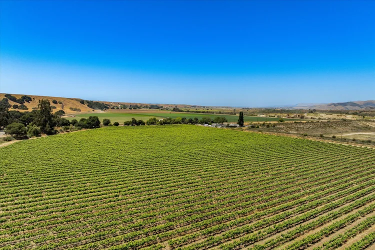 Goodchild Vineyard — property photograph 15