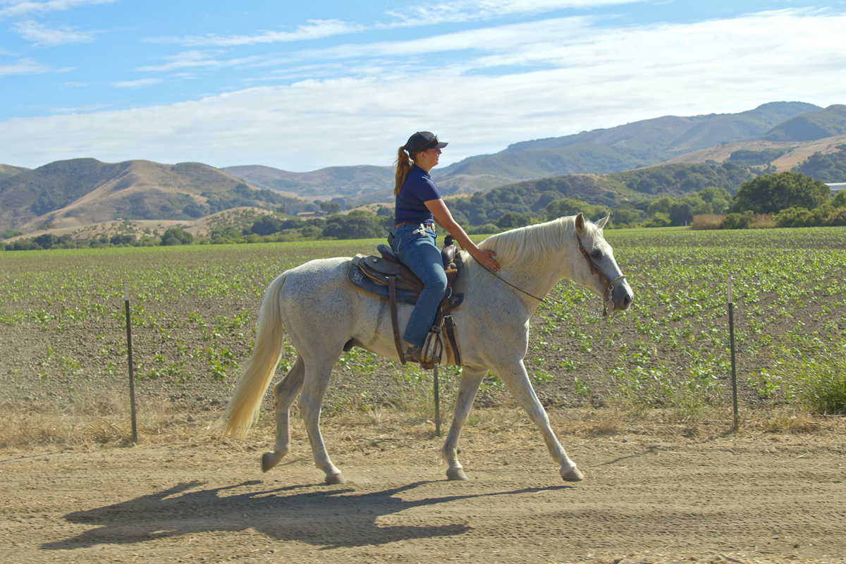 Big Bend Ranch - Working Country - Web-08.png