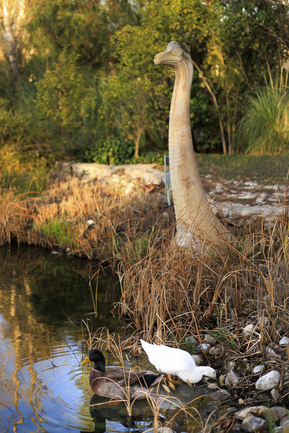 59 - Big Pond Ranch MLS.png