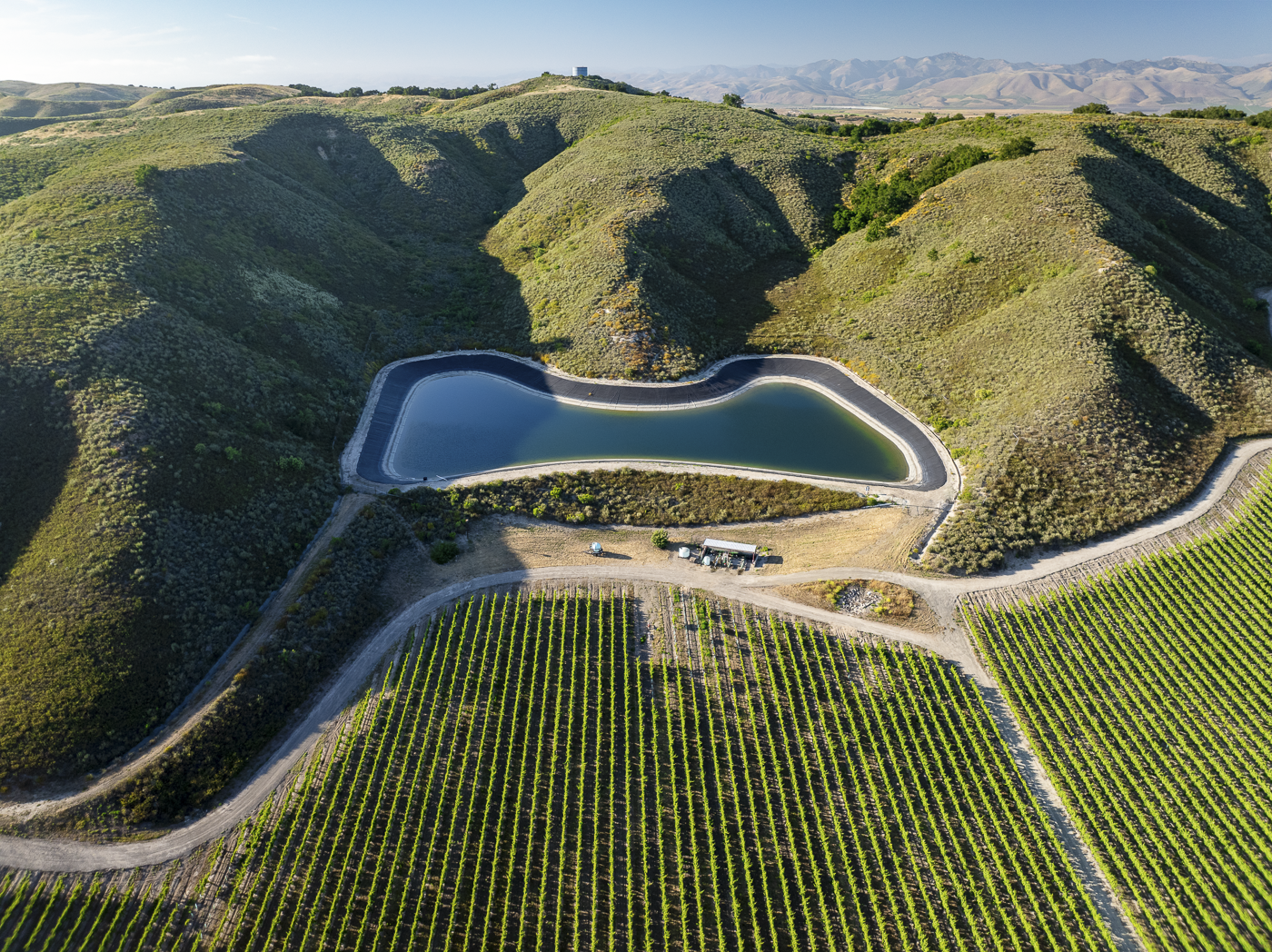 Loma Verde 2026 - Web-16.png