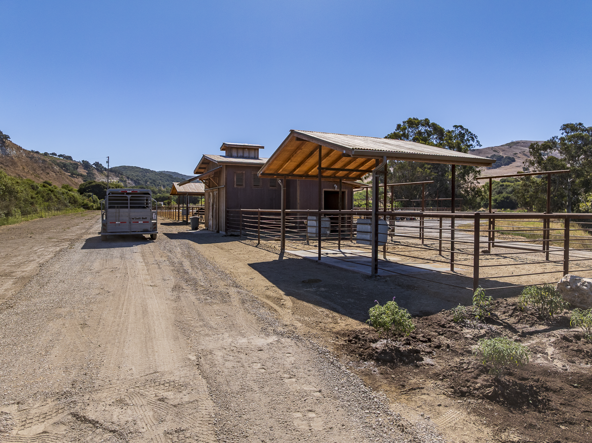 Big Bend Ranch - Built to Work - Web-02.png