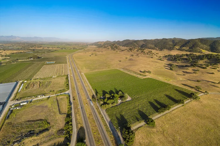 Ron’s Vineyard — property photograph 3