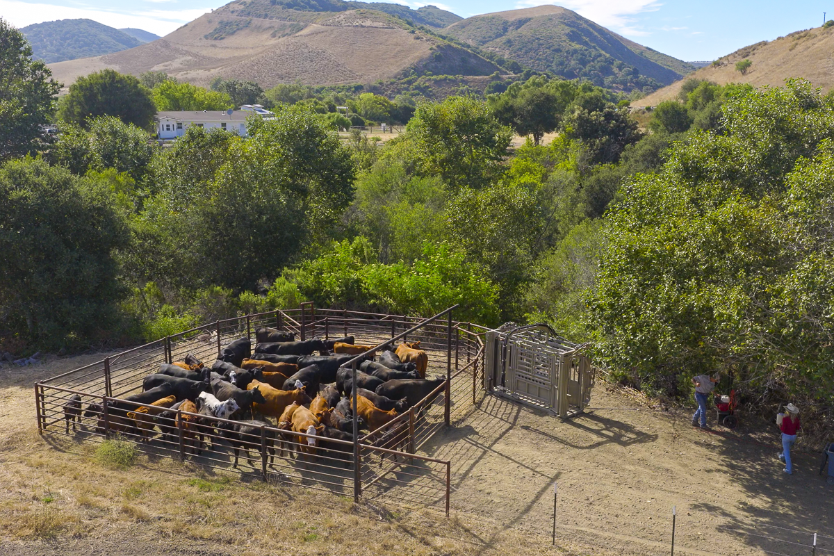 Big Bend Ranch - Working Country - Web-10.png